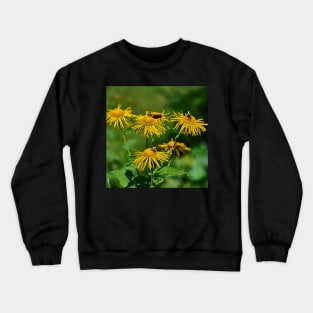 Alpine flowers Crewneck Sweatshirt